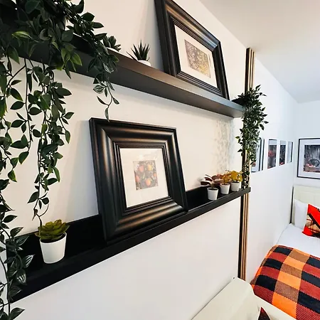 R4 - Elegant Private With Kitchenette Near Qe Hospital Harborne Gæstehus Birmingham
